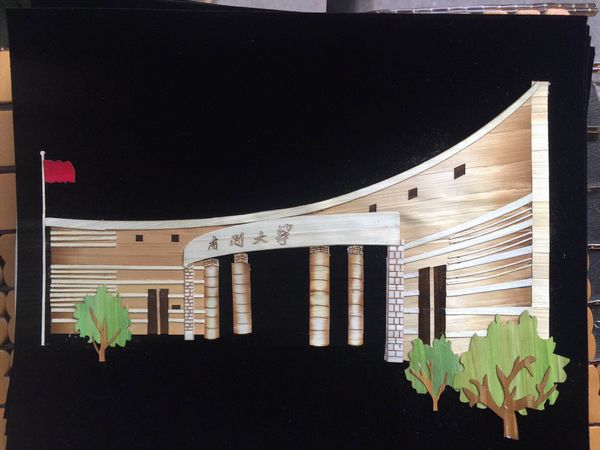 南開大學(xué)1500付定制(圖1)