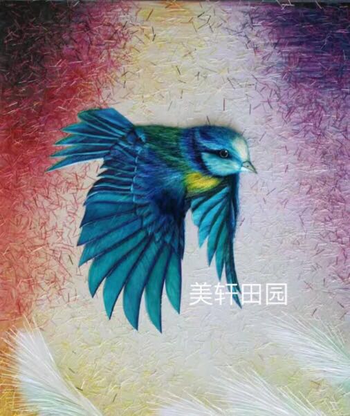  極品彩色小鳥(niǎo)3(圖1)